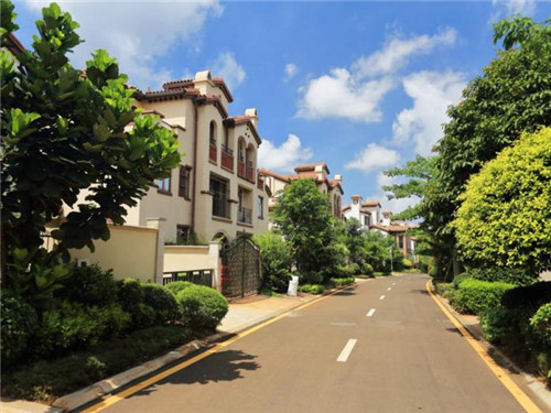 茶不多先生奶茶