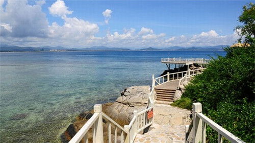 加盟高钙纯牛奶连锁店大概需要多少钱，高钙牛奶多少钱一箱