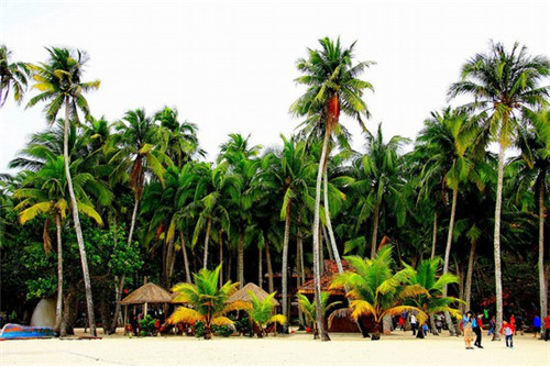 深圳花样年物业怎么样（深圳市花样年华物业服务有限公司）