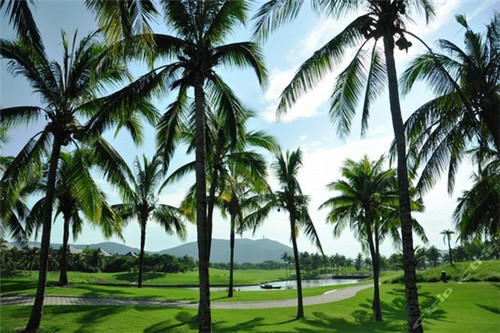 快手好看字幕怎么添加（快手好看字幕怎么添加到视频里）