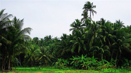 旧电灯怎么装修好看（旧电灯怎么装修好看又简单）
