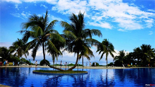 扎兰屯杜鹃花景区介绍（扎兰屯杜鹃花在什么位置）