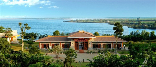 紫禁城茶叶品牌介绍（紫禁城600年茶叶）