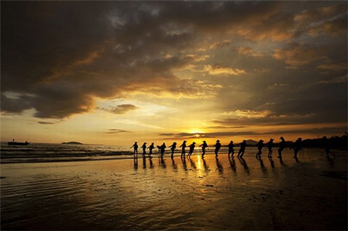 景点付费链接是什么（景点付费链接是什么软件）