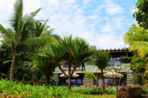 直升机原理（直升机原理与构造图解）