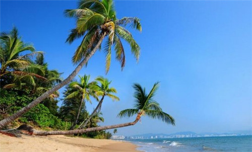 内战是什么游戏里的歌（内战歌词）