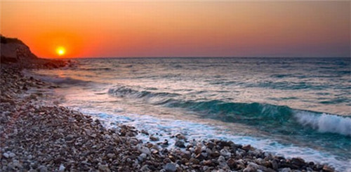 适合投资的阿胶固元膏加盟店项目有哪些